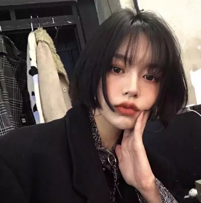 认识狗狗