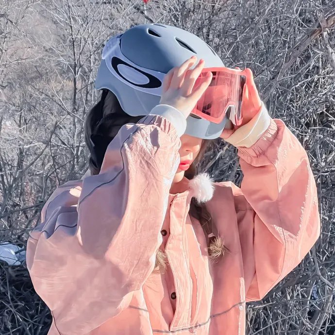王冠的游戏:都铎家族