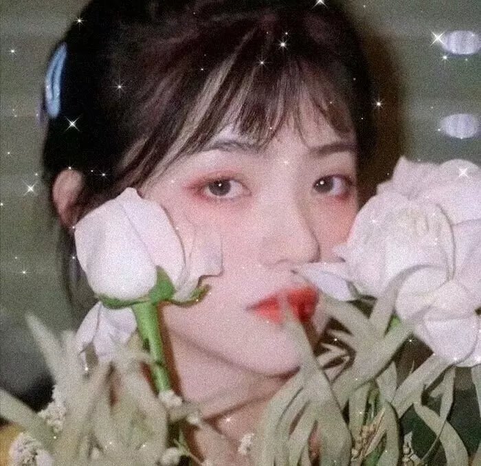 爱战争